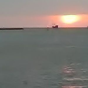 Meet your Posher, Bruce